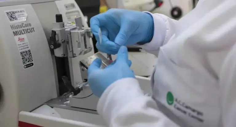 Nova lei federal moderniza controle do câncer e amplia acesso a terapias no SUS